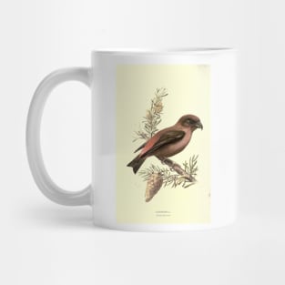 Crossbill Mug